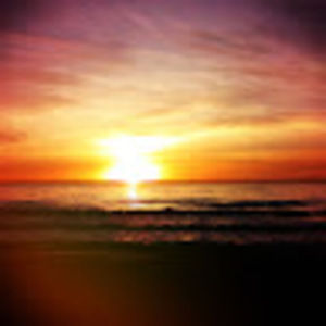 Meet your Posher, Jacqueline